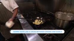 Live Life Better: Lemon spaghetti News Clip