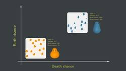 Why do Things Exist? Setting the Stage for Evolution Instructional Video