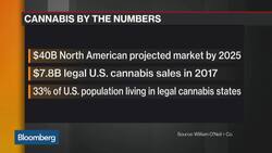 Why Tilray Shares Are Seeing Such Wild Swings News Clip