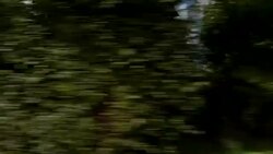 Denmark XI synched series right side driving studio process plate background Stock Footage