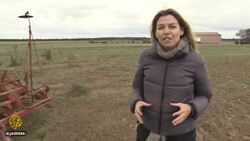 Argentina elections: Farmers anxious about economy News Clip