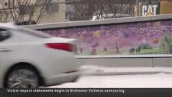 Relatives of a murdered Muslim family describe their anguish in court News Clip