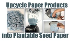 Upcycle Paper Products into Plantable Seed Paper Instructional Video