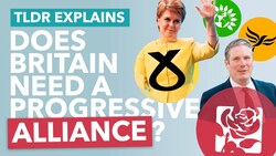 Beating the Conservatives: Could Tactical Voting Work? - TLDR News Instructional Video