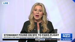 Stowaway who hid aboard a plane from the U.S. to France will be sent back News Clip