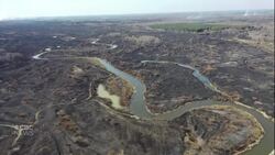 Fire rages near Ukraine's Chornobyl nuclear plant News Clip