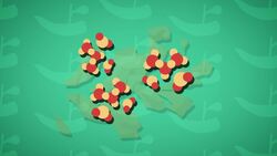 High Five Facts - Pancreas Instructional Video