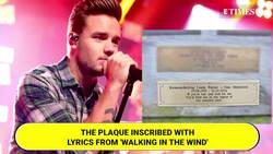 Liam Payne Immortalized At Clevedon Pier; Fans In Tears Over The Emotional Tribute News Clip