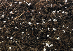 ¿Qué es el suelo? Instructional Video