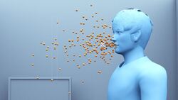 COVID-19 coronavirus may be transmitted by breathing: report Instructional Video