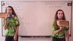 Introduction to Work with Examples Instructional Video