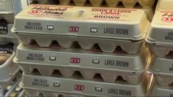 USDA report: Egg prices down first week of March, but not likely to last News Clip