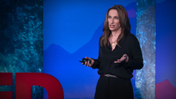 TED: How business leaders can renew democracy | Daniella Ballou-Aares Instructional Video