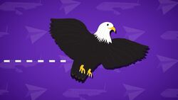 I WONDER - Are Birds Aerodynamic? Instructional Video