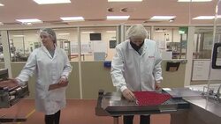 Boris Johnson touring a vaccine lab News Clip