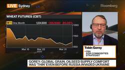 A Lot More Upside for Wheat Prices, Says CBA's Gorey News Clip