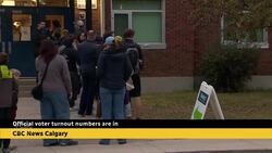 Official voter turnout numbers are in News Clip