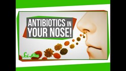 Antibiotics In Your Nose! Instructional Video
