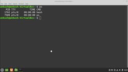 Linux Operating System: A Complete Linux Guide for Beginners - Killing a Process Instructional Video