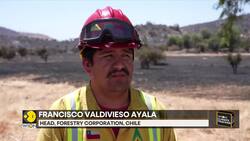 Chile: Fire Brigades Grapple With Heatwave As They Fight Fires News Clip