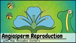 Angiosperm (Flowering Plants) Reproduction Instructional Video