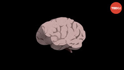 TED-Ed: The Boltzmann brain paradox | Fabio Pacucci Instructional Video