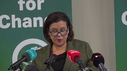 Sinn Fein would introduce new immigration management agency, says McDonald News Clip