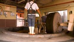 Mexico tequila exporters worried about US tariffs News Clip