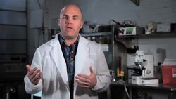 Has There Ever Been a Zombie Outbreak? Instructional Video