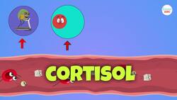 What Does Chronic Stress Do To Your Mind And Body Instructional Video