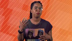 To Kill, To Kill a Mockingbird? Instructional Video