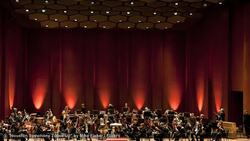 Top 5 Neighborhoods to Visit in Houston Instructional Video