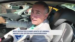 Why repeated complaints of suspected animal cruelty often go unanswered News Clip