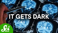 Einstein Didn't Want People To Study His Brain Instructional Video