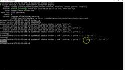 Bash Shell Scripting- Simple Shell Script to know the usage of Variables in Bash Shell Scripting Instructional Video