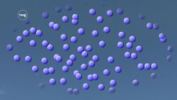 Meteorologists Instructional Video