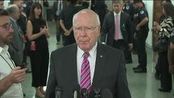 Democrats support Senator Flake's call for FBI probe Instructional Video