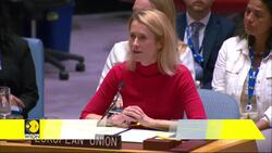UNSC Meet: Russia, Western Allies Dispute NATO Airspace Breaches News Clip
