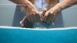 Female handwashing clothes, no protective gloves, harmful for skin, macro shot Stock Footage