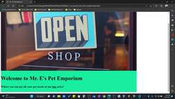 The Art of Doing - Web Development for Beginners - Store Front Project - Part 1 Instructional Video