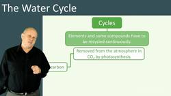 The Water Cycle: Understanding how water is recycled and used over and over again Instructional Video
