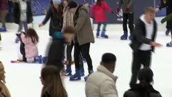 Natural History Museum at Christmas News Clip