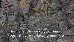 Glacier National Park - Oberlin Bend (Accessible Version) Instructional Video