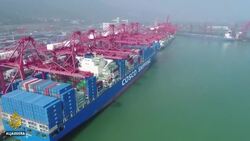 Cherry controversy: Chile's fruit growers impacted by 'rumour' News Clip