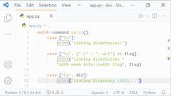 The Ultimate Guide to Python Programming With Python 3.10 - if Statements in Case Statements Instructional Video
