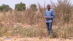 Nigeria conflict: Uneasy calm in northeastern Borno state News Clip