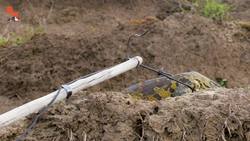 How to Catch a River Dragon! Instructional Video