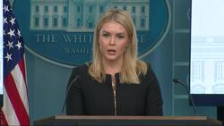 US Automakers Exempt From New Tariffs for One Month News Clip