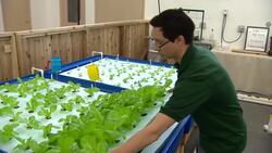 Aquaponic food bank farm News Clip