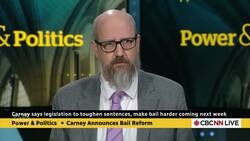 Reverse-onus will not solve 'real problems' with the bail system: defence lawyer News Clip
